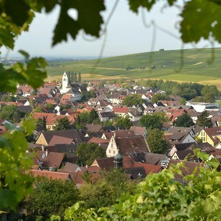 Ferienwohnung Schneckental 法芬维勒 外观 照片