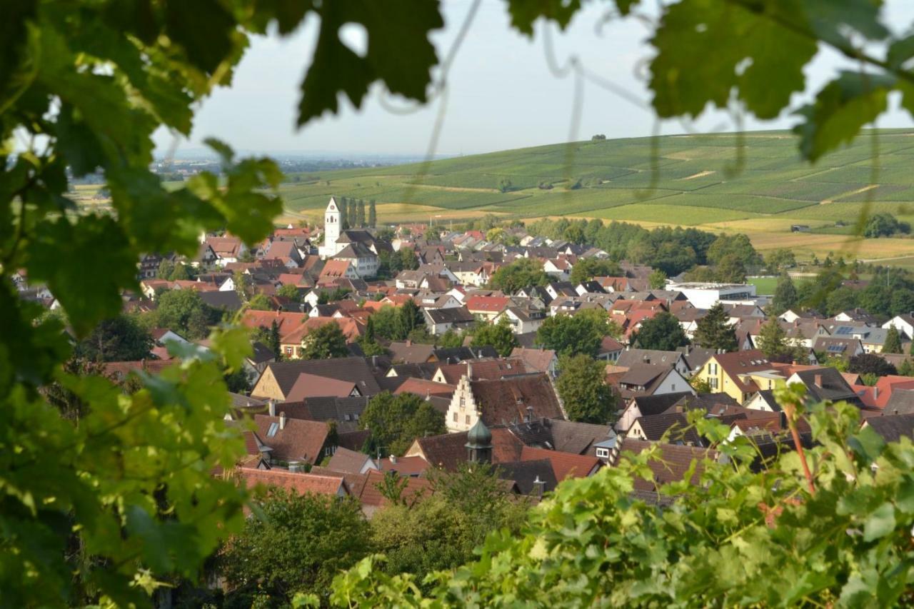 Ferienwohnung Schneckental 法芬维勒 外观 照片